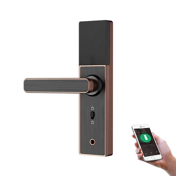 Porta Smart Lock digitale con impronta digitale elettronica