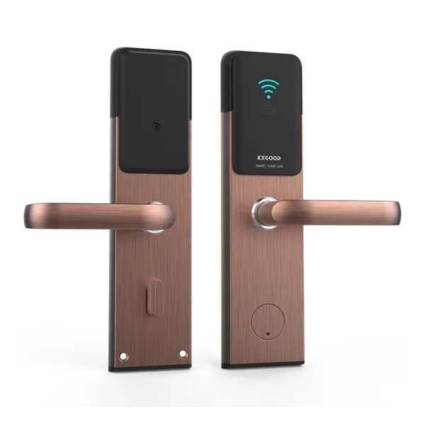 Home Elettronico Elettrico Tuya App Wifi Smart Lock