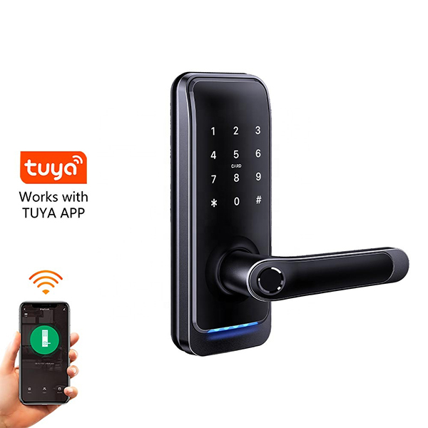 Serratura per porta del lettore di controllo accessi per app WiFi impermeabile