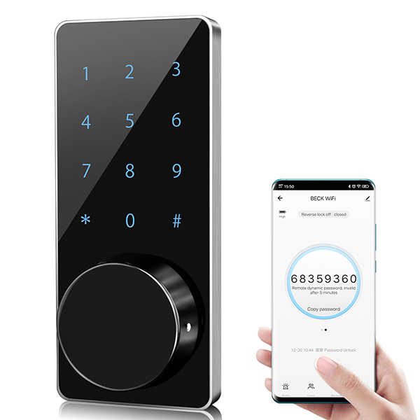 Serratura per armadietto Blue Tooth con controllo dell'app Wi-Fi